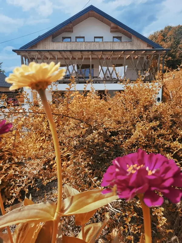 Eco resort in nature