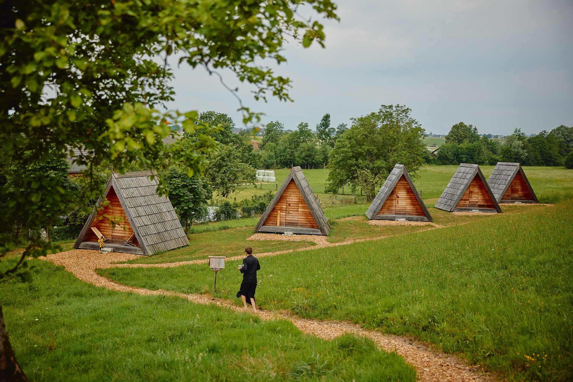 A-frame cabins in nature