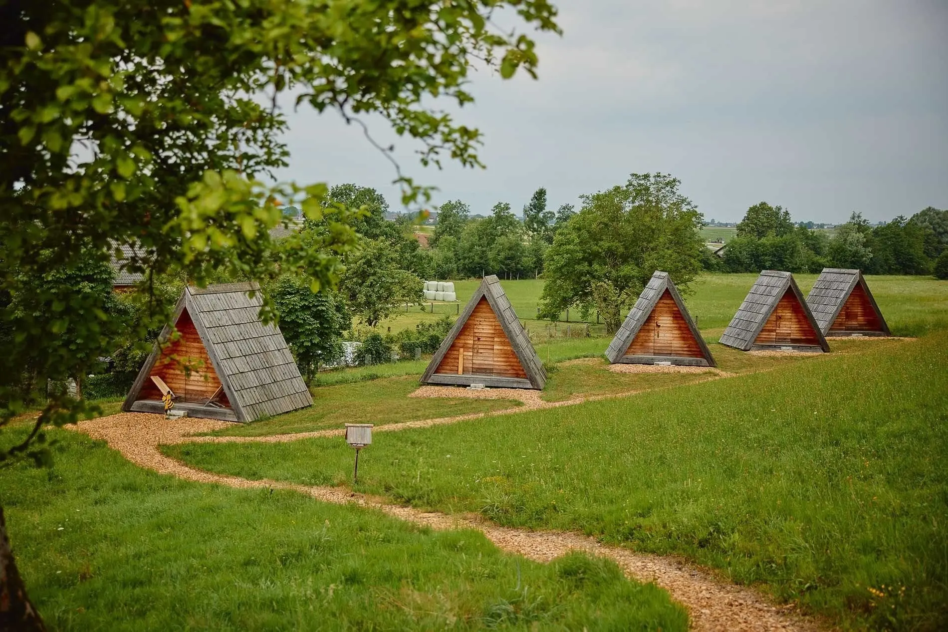 A-frame cabins in nature